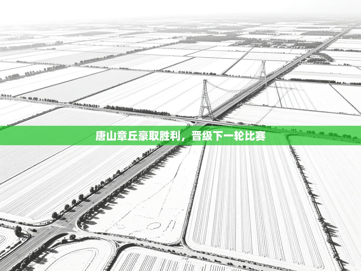 开云体育app登录入口-唐山章丘豪取胜利,晋级下一轮比赛 第1张