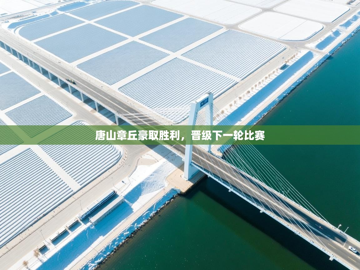 开云体育app登录入口-唐山章丘豪取胜利,晋级下一轮比赛 第2张