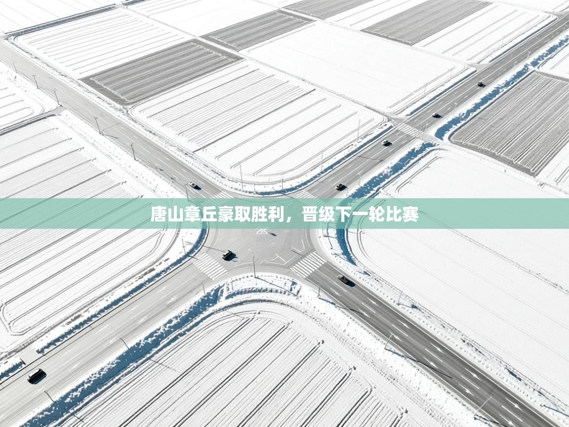 开云体育app登录入口-唐山章丘豪取胜利,晋级下一轮比赛 第3张