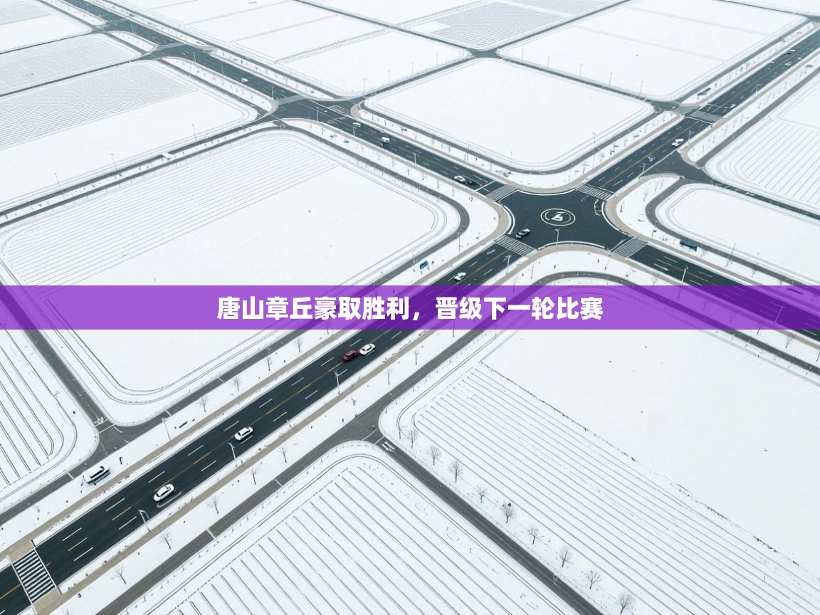 开云体育app登录入口-唐山章丘豪取胜利,晋级下一轮比赛 第4张