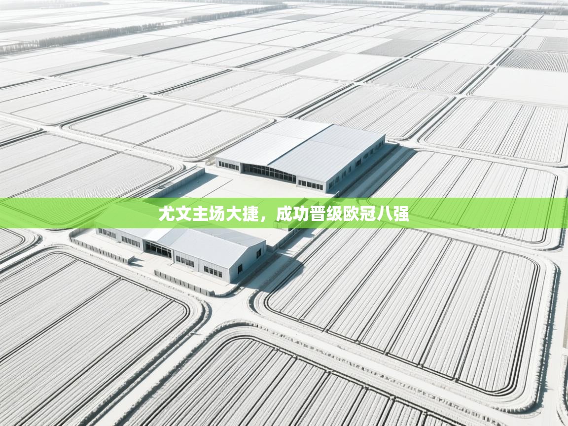 开云体育入口注册-尤文主场大捷,成功晋级欧冠八强 第2张