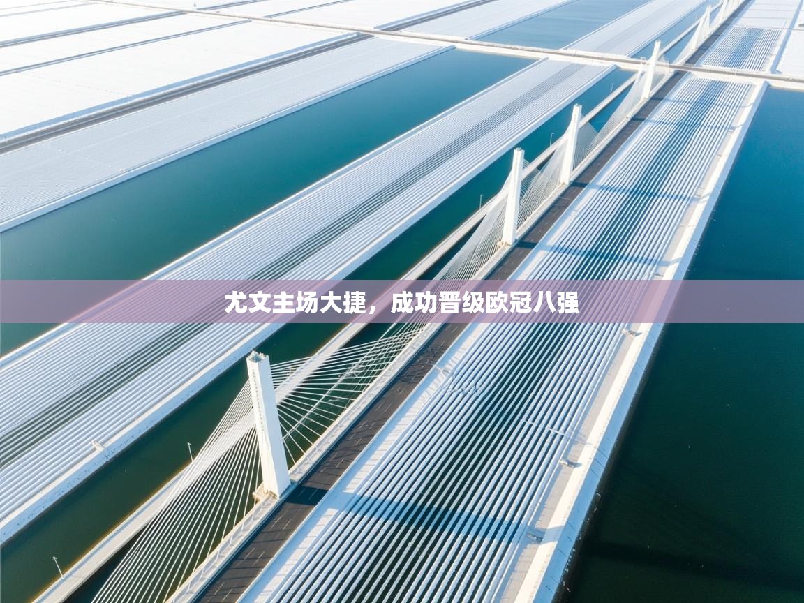 开云体育入口注册-尤文主场大捷,成功晋级欧冠八强 第4张