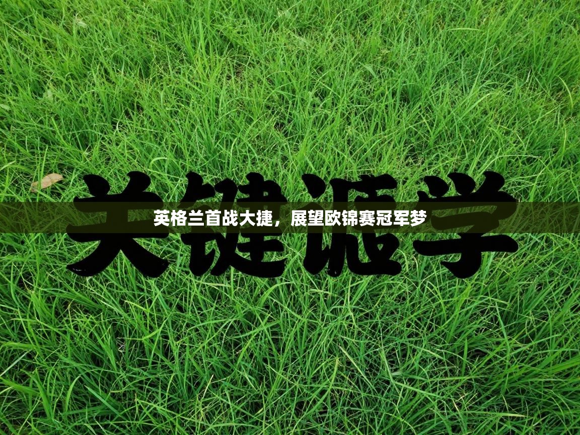 开云体育新人指引-英格兰首战大捷，展望欧锦赛冠军梦  第2张